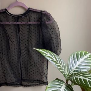 Zara // winter 2020 top